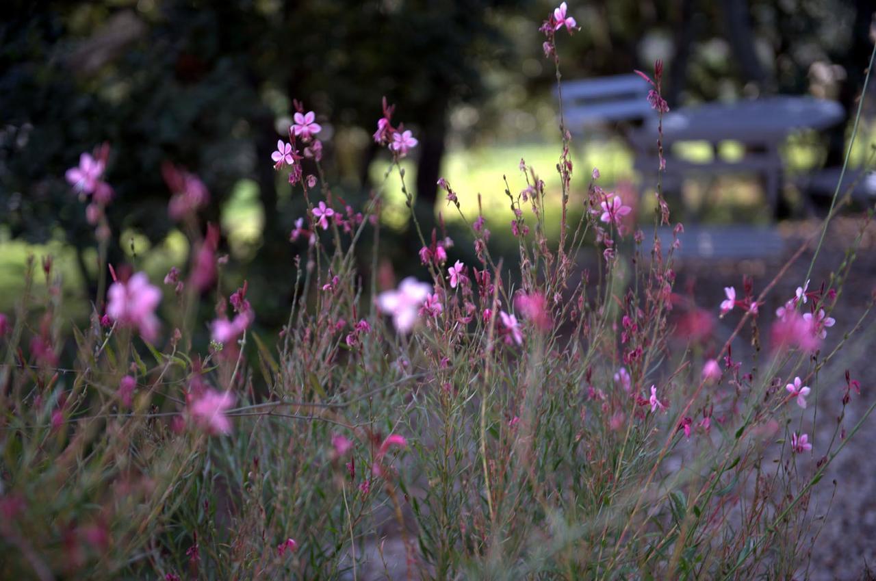 Les Terrasses - Gordes Guest House Bagian luar foto